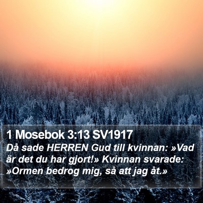 1 Mosebok 3:13 SV1917 Bible Verse Image