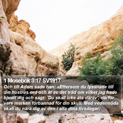 1 Mosebok 3:17 SV1917 Bible Verse Image