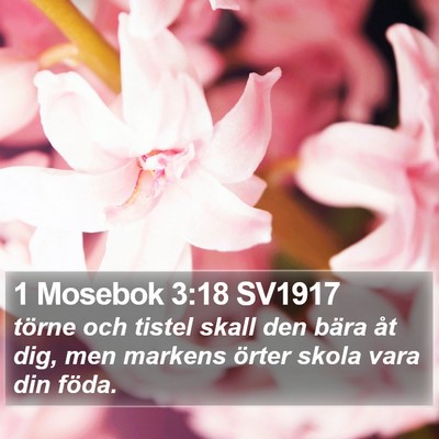 1 Mosebok 3:18 SV1917 Bible Verse Image