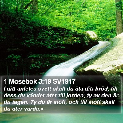 1 Mosebok 3:19 SV1917 Bible Verse Image