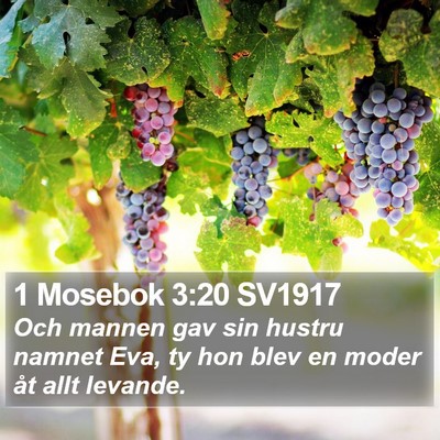 1 Mosebok 3:20 SV1917 Bible Verse Image