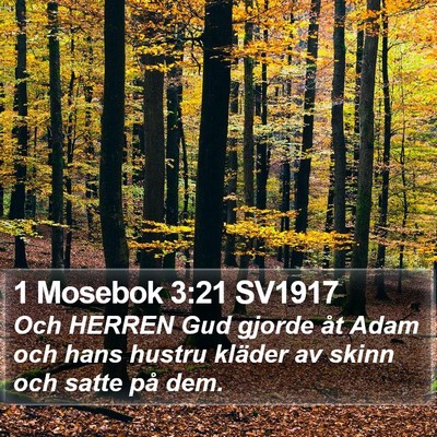 1 Mosebok 3:21 SV1917 Bible Verse Image