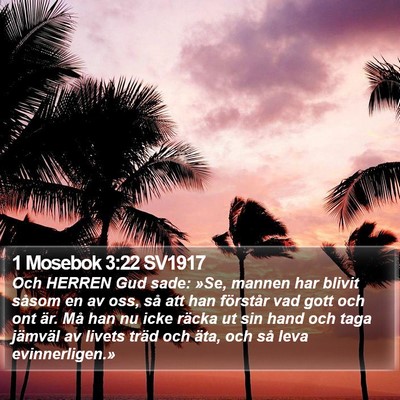 1 Mosebok 3:22 SV1917 Bible Verse Image