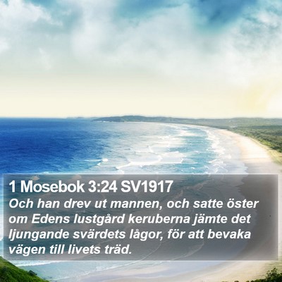 1 Mosebok 3:24 SV1917 Bible Verse Image