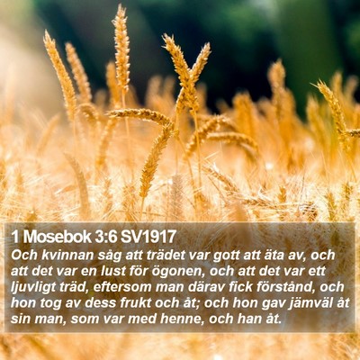 1 Mosebok 3:6 SV1917 Bible Verse Image