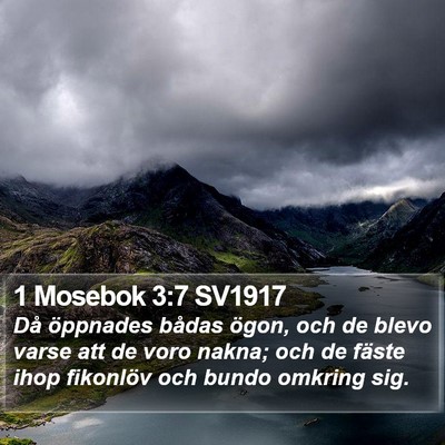 1 Mosebok 3:7 SV1917 Bible Verse Image
