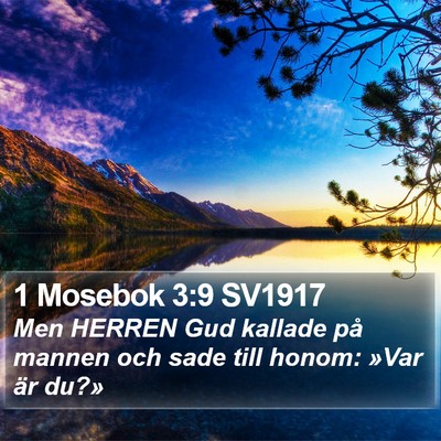 1 Mosebok 3:9 SV1917 Bible Verse Image