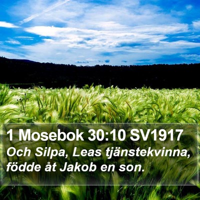 1 Mosebok 30:10 SV1917 Bible Verse Image