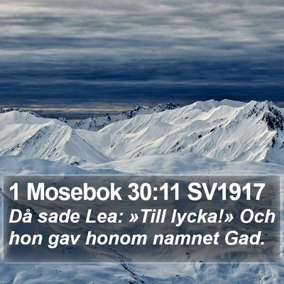 1 Mosebok 30:11 SV1917 Bible Verse Image