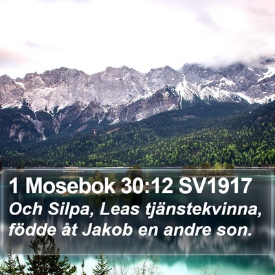 1 Mosebok 30:12 SV1917 Bible Verse Image