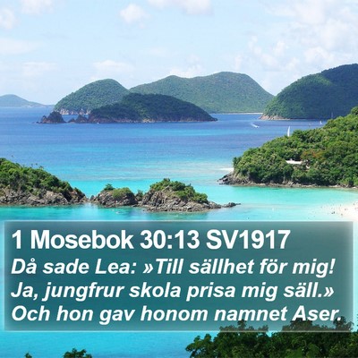 1 Mosebok 30:13 SV1917 Bible Verse Image