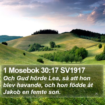 1 Mosebok 30:17 SV1917 Bible Verse Image