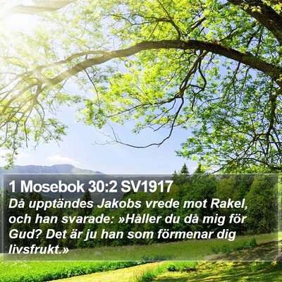 1 Mosebok 30:2 SV1917 Bible Verse Image