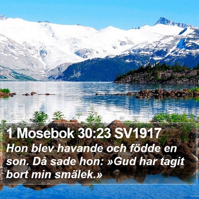 1 Mosebok 30:23 SV1917 Bible Verse Image