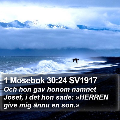 1 Mosebok 30:24 SV1917 Bible Verse Image