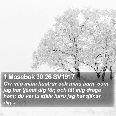 1 Mosebok 30:26 SV1917 Bible Verse Image