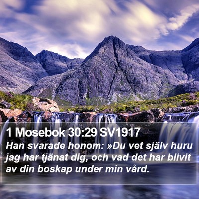 1 Mosebok 30:29 SV1917 Bible Verse Image