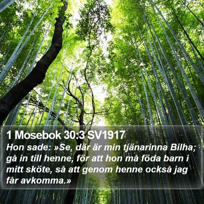 1 Mosebok 30:3 SV1917 Bible Verse Image