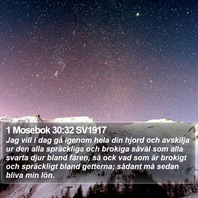 1 Mosebok 30:32 SV1917 Bible Verse Image
