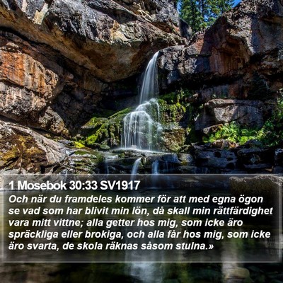 1 Mosebok 30:33 SV1917 Bible Verse Image