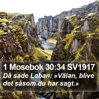 1 Mosebok 30:34 SV1917 Bible Verse Image
