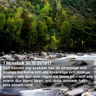 1 Mosebok 30:35 SV1917 Bible Verse Image