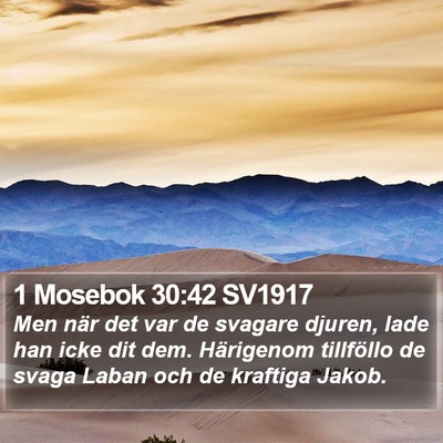 1 Mosebok 30:42 SV1917 Bible Verse Image