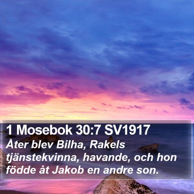 1 Mosebok 30:7 SV1917 Bible Verse Image