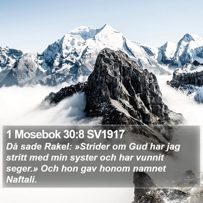 1 Mosebok 30:8 SV1917 Bible Verse Image