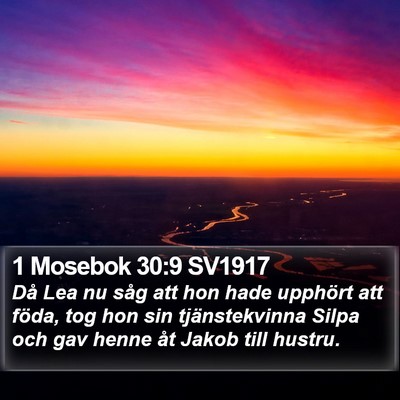 1 Mosebok 30:9 SV1917 Bible Verse Image