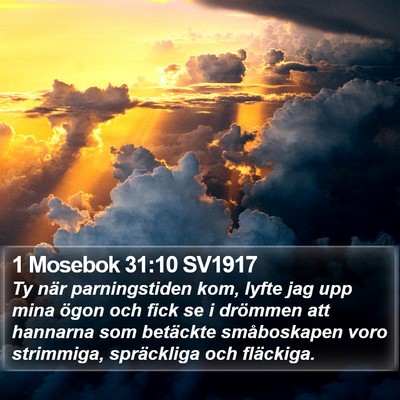 1 Mosebok 31:10 SV1917 Bible Verse Image