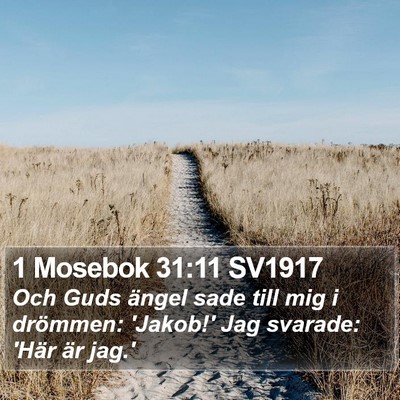 1 Mosebok 31:11 SV1917 Bible Verse Image