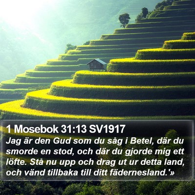 1 Mosebok 31:13 SV1917 Bible Verse Image