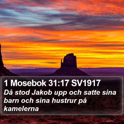 1 Mosebok 31:17 SV1917 Bible Verse Image