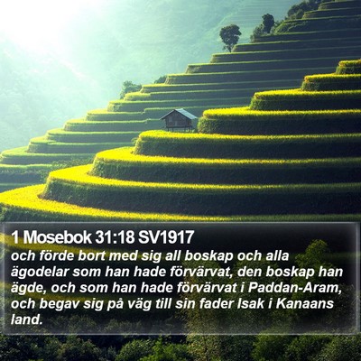 1 Mosebok 31:18 SV1917 Bible Verse Image
