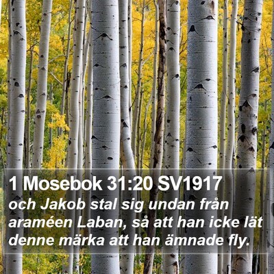 1 Mosebok 31:20 SV1917 Bible Verse Image