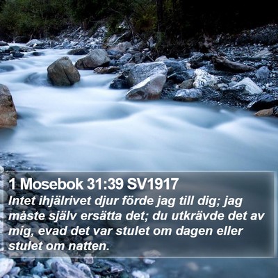 1 Mosebok 31:39 SV1917 Bible Verse Image