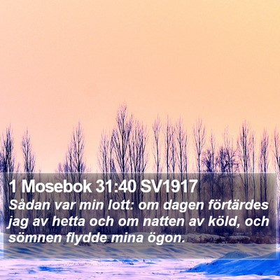 1 Mosebok 31:40 SV1917 Bible Verse Image