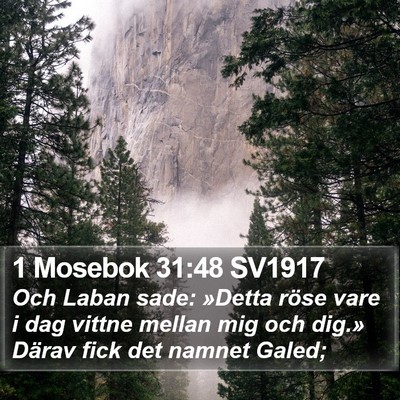 1 Mosebok 31:48 SV1917 Bible Verse Image