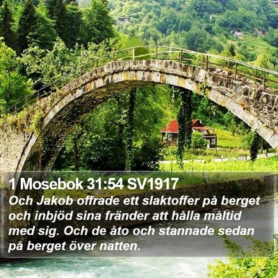 1 Mosebok 31:54 SV1917 Bible Verse Image