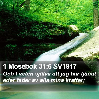 1 Mosebok 31:6 SV1917 Bible Verse Image