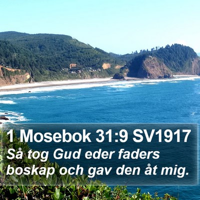 1 Mosebok 31:9 SV1917 Bible Verse Image