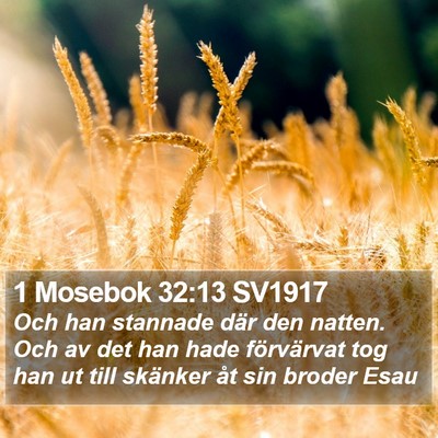 1 Mosebok 32:13 SV1917 Bible Verse Image