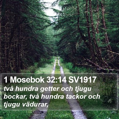 1 Mosebok 32:14 SV1917 Bible Verse Image
