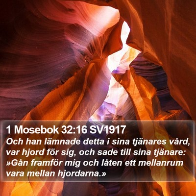 1 Mosebok 32:16 SV1917 Bible Verse Image