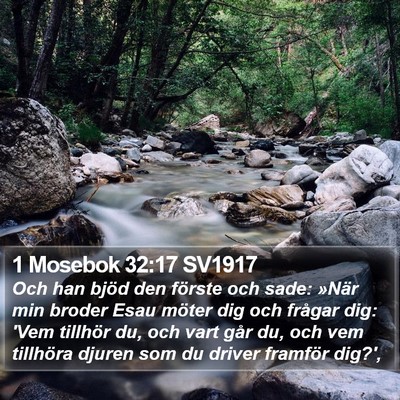 1 Mosebok 32:17 SV1917 Bible Verse Image