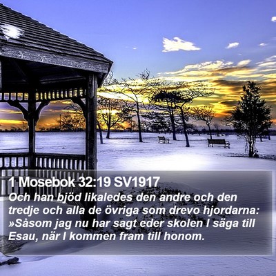 1 Mosebok 32:19 SV1917 Bible Verse Image