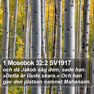 1 Mosebok 32:2 SV1917 Bible Verse Image