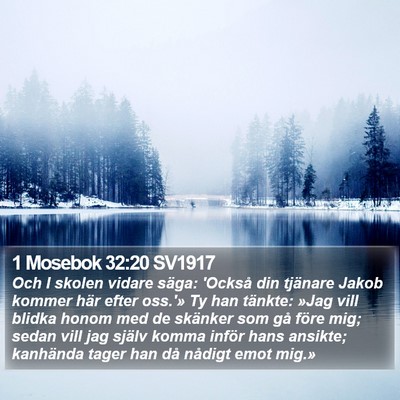 1 Mosebok 32:20 SV1917 Bible Verse Image