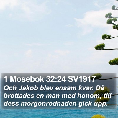 1 Mosebok 32:24 SV1917 Bible Verse Image